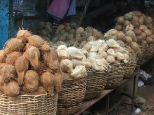 Coconuts , Munnar market