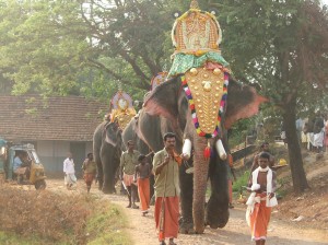 Elephants6
