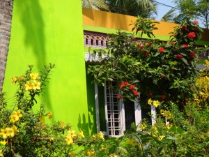 Painted house (2)